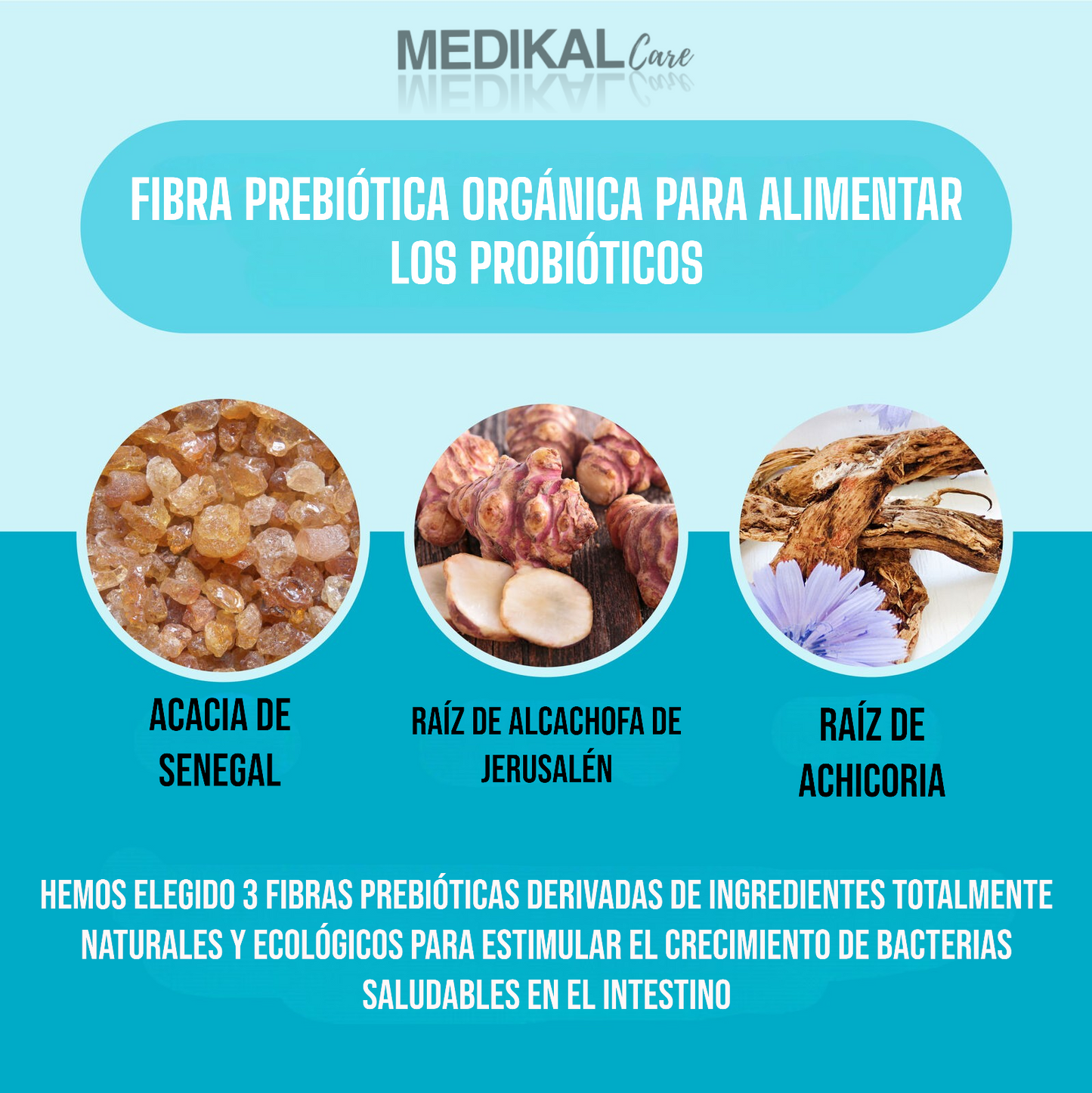 Bienestar Digestivo en Probióticos y GRATIS Enzimas Naturales